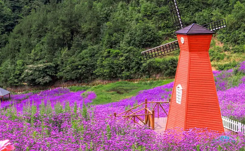 1652414344946209.png image.png