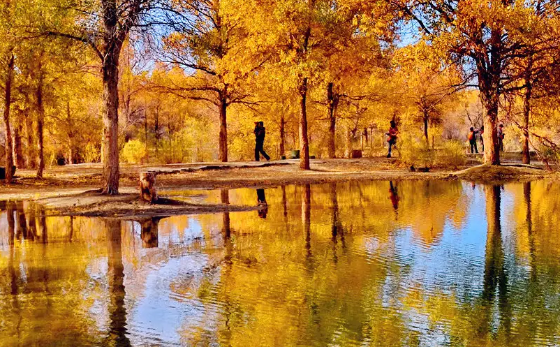 1652693025698333.png image.png