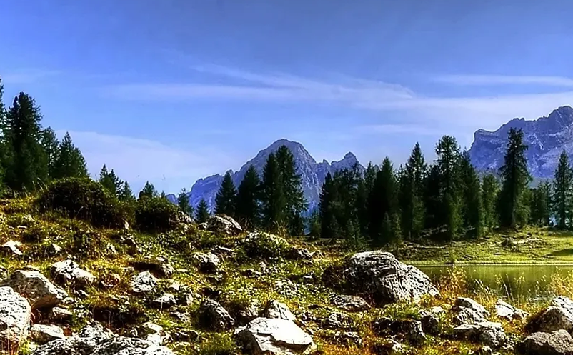 1653374793954352.png image.png