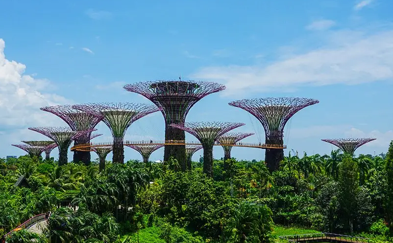 1654152831880002.png image.png