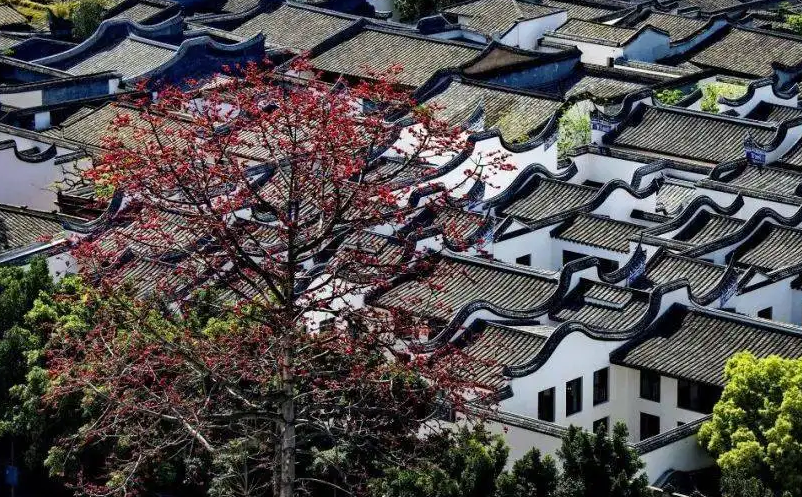 1654592771137580.png image.png