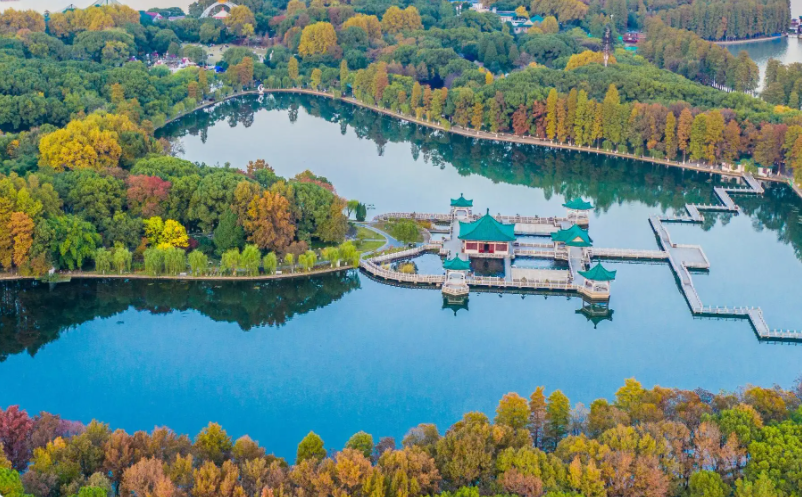 1655457382784450.png image.png