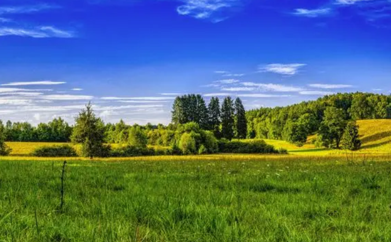 1655794303839223.png image.png