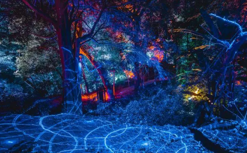 1655795183861606.png image.png