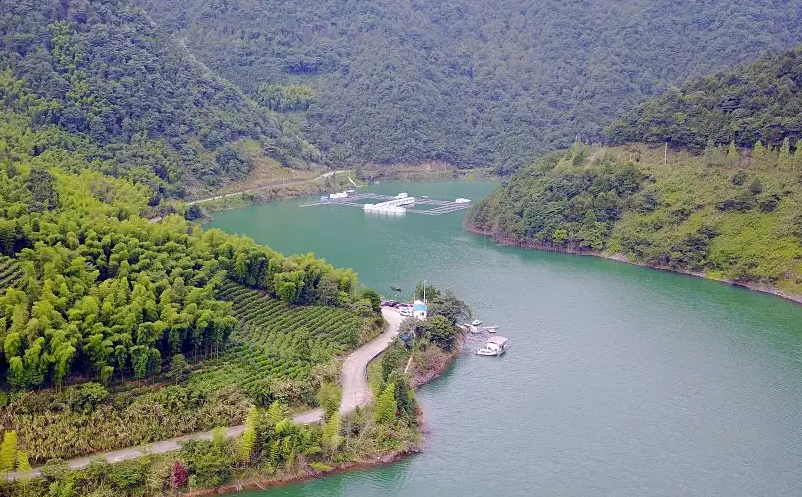 1655868458612360.png image.png