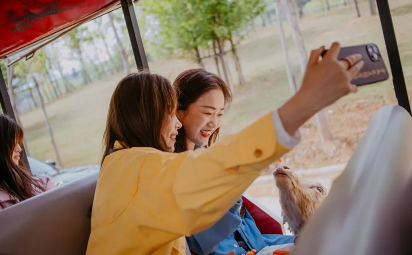 1655972637287009.png image.png