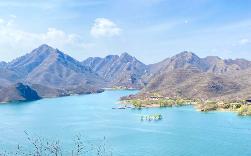 1656056386255527.png image.png