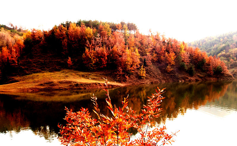 1656056446775115.png image.png