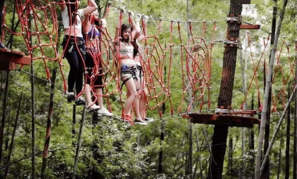 1656313596934572.png image.png