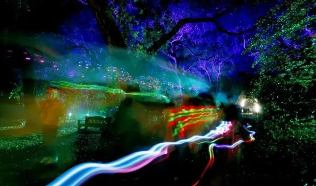 1656402792203266.png image.png