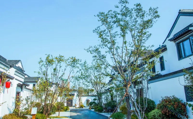 1656658799862819.png image.png