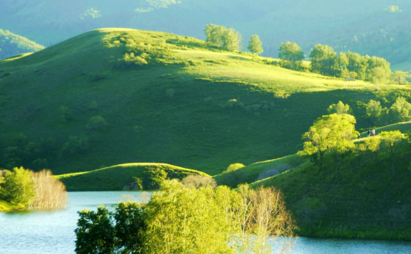 1657161128157222.png image.png