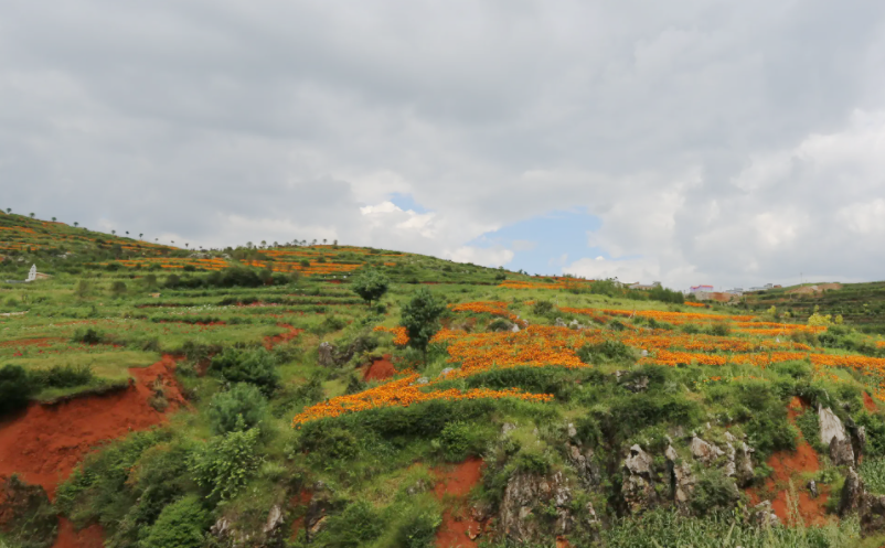 1657271917233922.png image.png