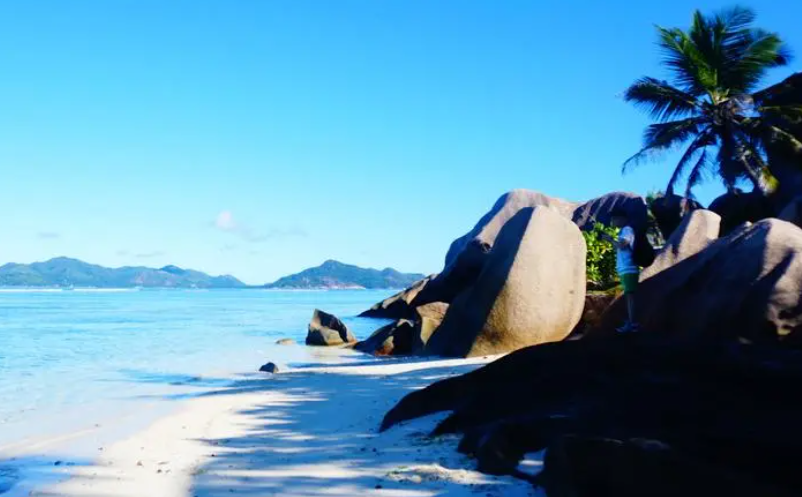 1657531147337056.png image.png