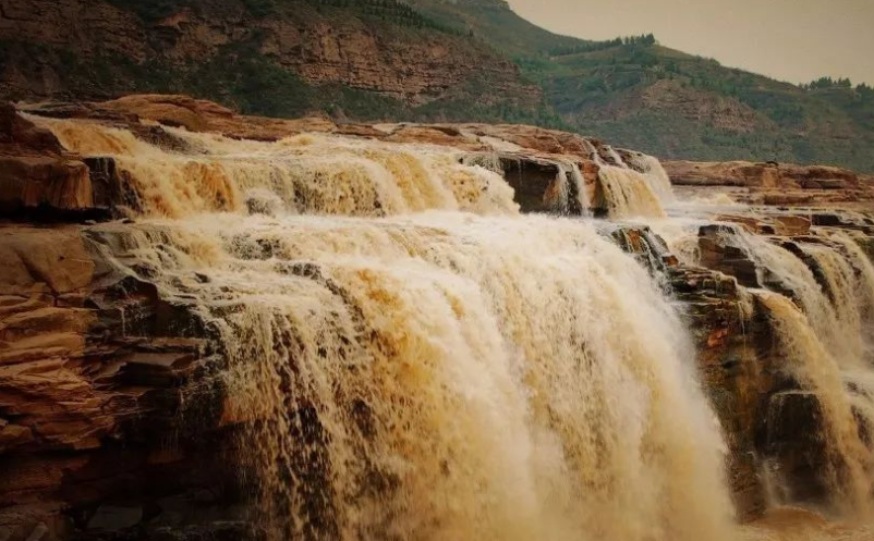 1658131583808109.png image.png