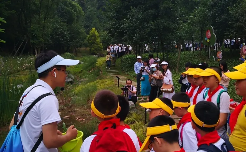 1658220915719445.png image.png