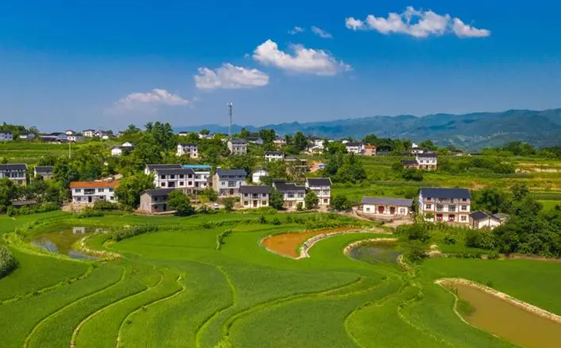 1658306082726213.png image.png