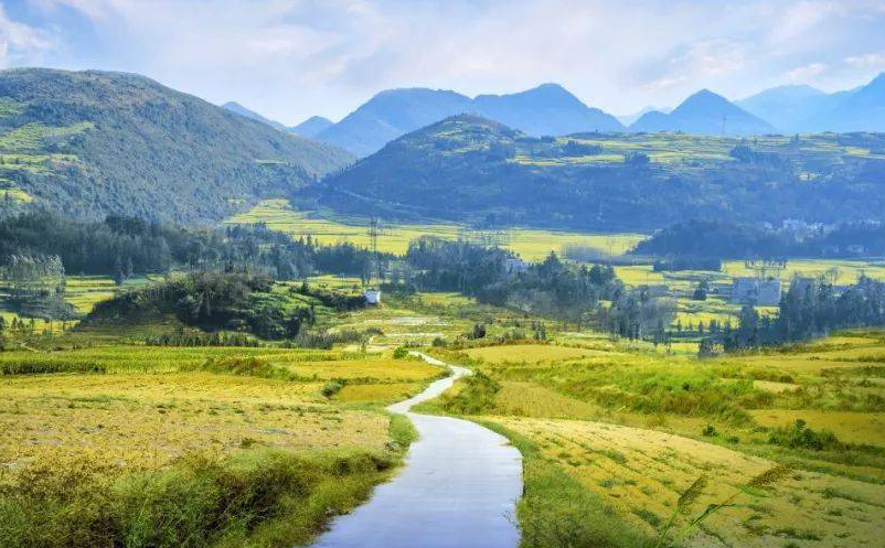 1658306440645879.png image.png