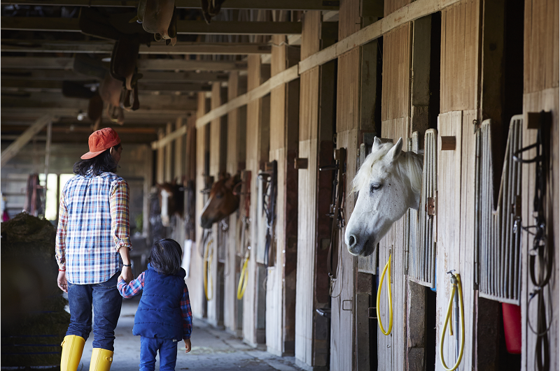 1658394315294296.png image.png