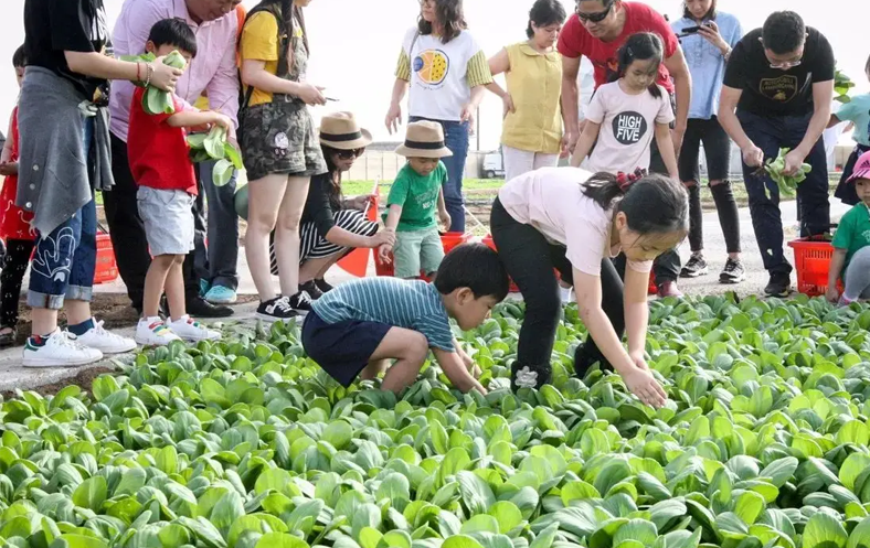 1658394356698561.png image.png