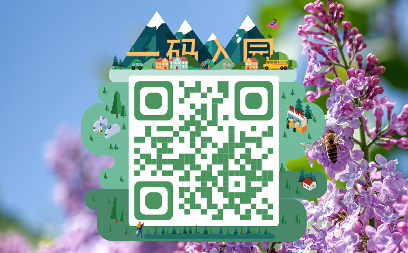 电子票务系统 电子票务系统