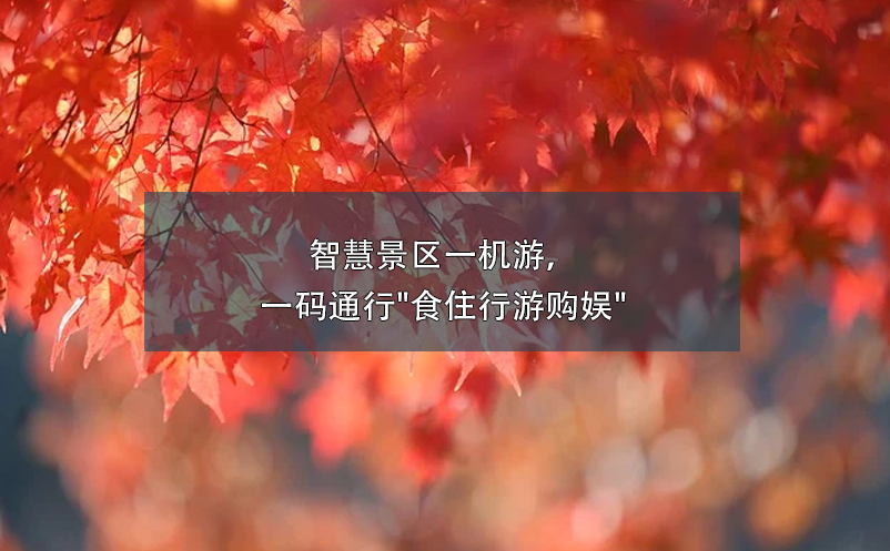 1715312340122608.png image.png