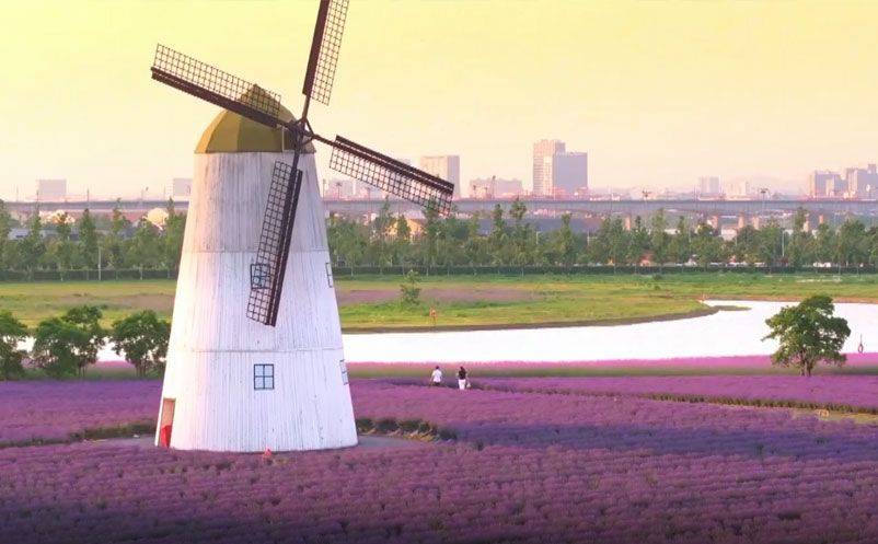 1748395578412186.jpg 1.jpg