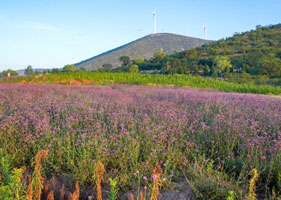 易景通景区票务系统和西山花海景区达成合作协议