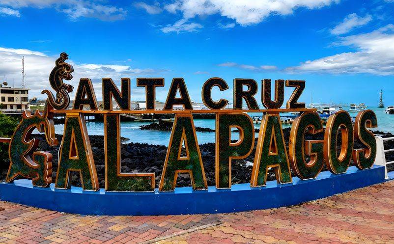 易景通签约太平洋明珠航运,西班牙语票务系统,开启国际化新篇章 易景通签约太平洋明珠航运,西班牙语票务系统,开启国际化新篇章