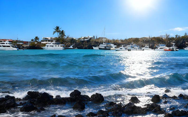 易景通签约太平洋明珠航运,西班牙语票务系统,开启国际化新篇章 易景通签约太平洋明珠航运,西班牙语票务系统,开启国际化新篇章