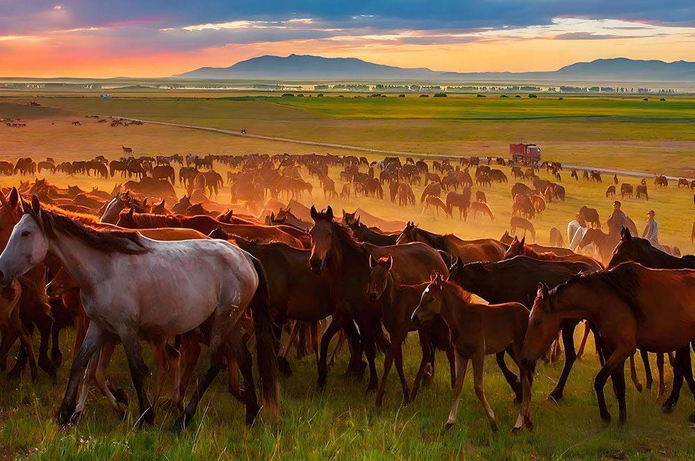 昭苏天马文化园和易景通景区票务系统达成合作协议 昭苏天马文化园和易景通景区票务系统达成合作协议